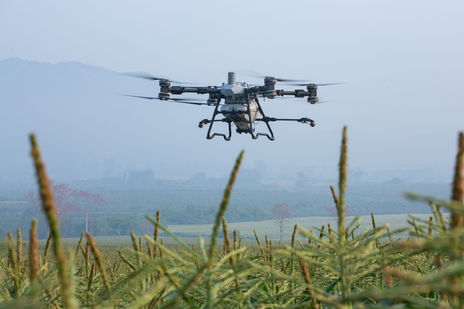 DJI Agras T100