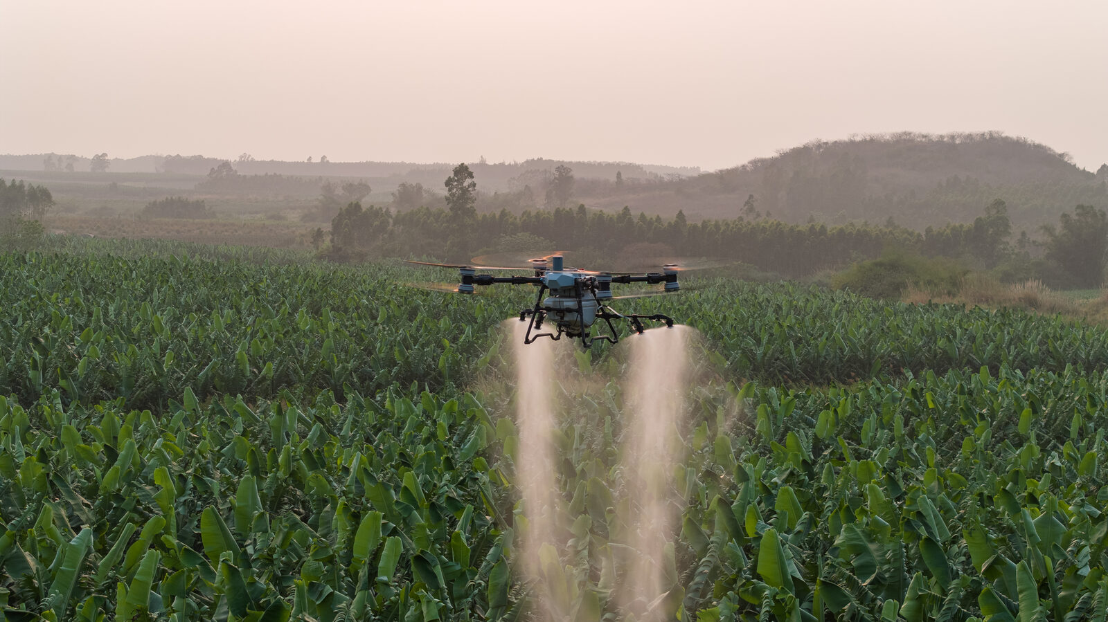 DJI Agras T100 en el campo