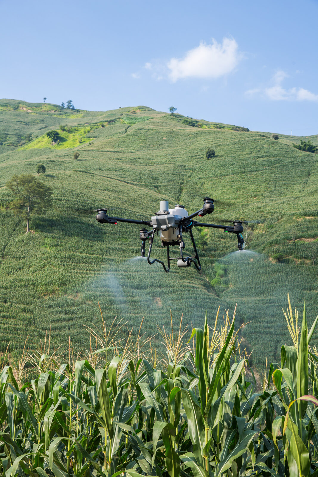 DJI Agras T25P en operación